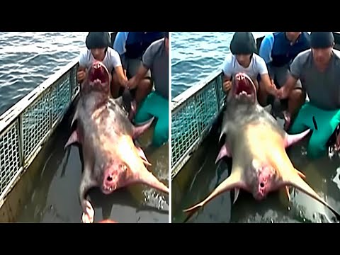 Pescadores Atraparon a Un Mutante Real Nadie Puede Creer en su Existencia