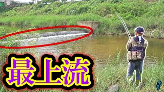 最高の水が流れてくる最上流スポットにルアーを投げると…