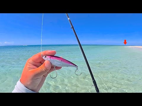 Fishing this EXOTIC! BEACH on Australia's *Great Barrier Reef* for Multiple Species!