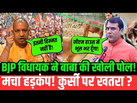 BJP विधायक ने बाबा की खोली पोल! मचा हड़कंप! कुर्सी पर खतरा ? | Yogi | BJP | UP | BJP MLA