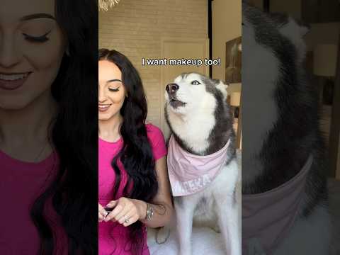 What Happens When I DONT Share My Makeup With My Husky! 😳👀💄