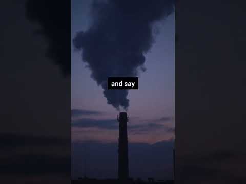 Apologize - Timbaland (ft. OneRepublic) | lyrics
