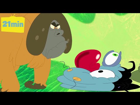 Oggy And the Cockroaches | Oggy vs. The Wild! 🐒 A Xilam Series | Xilam TV