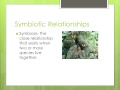 Ecological Relationships and Interactions