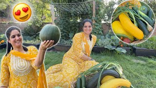 First Harvesting of our Vegetable Garden in UK 🇬🇧 | indian Family in UK