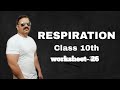 Human Respiratory System Concepts