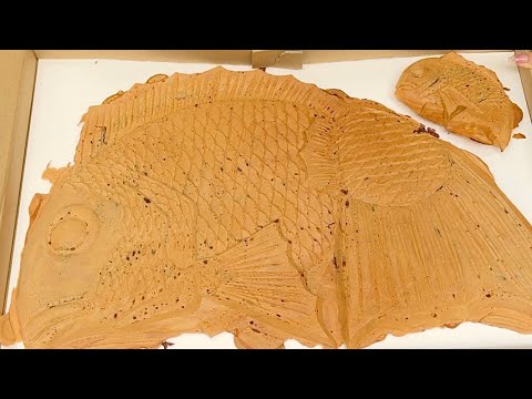 3キロ超えの日本一大きいたい焼きができるまで🐟 Japan Food Trip “Biggest Taiyaki in Japan”