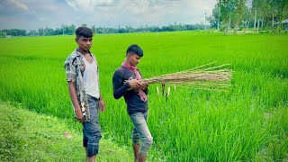 Amazing Fishing Video || Fishing With Hook Catching Fish Hunting By Hook in the Village Rice Field