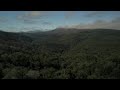 Biodiversity and Invasive Species Management