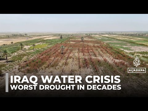 YouTube video thumbnail: Iraq’s Worst Drought in Decades Leaves Orchards Barren and Livelihoods Ruined
