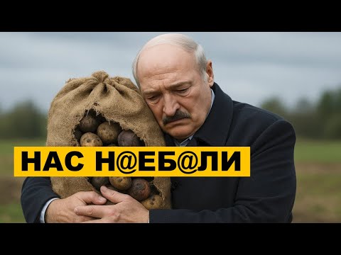 Огромная свалка овощей в Жодино шокирует всех!