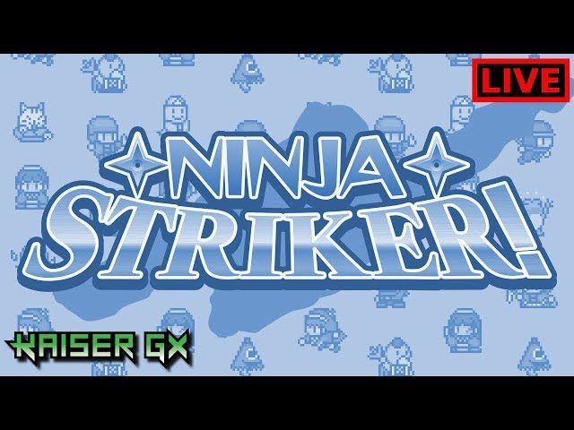 Checking Out: Ninja Striker! - Nintendo Switch