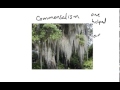 Ecology Test Preparation