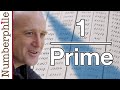 Understanding William Shanks and Reciprocals of Primes