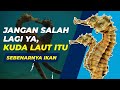 Video Tutorial Quiz