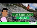 Impacto del Aceite de Cocina en el Medio Ambiente