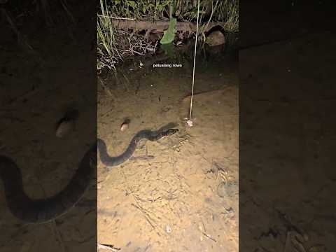 sebenernya meruinding aku tu