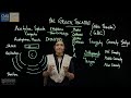 Greek Theater Concepts and Terminology