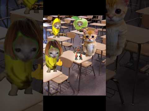 Banana cat school day 26 #bananacat #funny #catmemes