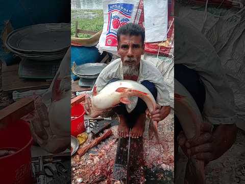 Amazing Pangas Fish Cutting Skills Part-63 🐬🐟 #shorts