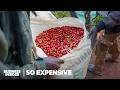 Understanding Coffee Production and Pricing