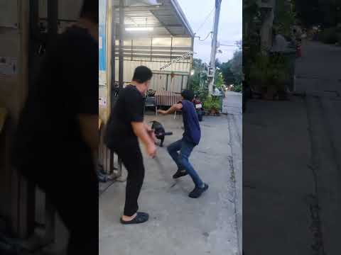 เมื่อพ่อลูกเจอของจริง วิ่งสิคร้าบรออะไร #funny
