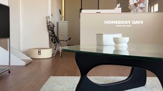 VLOG 고양이 일상 브이로그 / 새로운 가족이 생겼어요✌🏻(NEW 피규어 • 새 매트리스🛌 • MORNING ROUTINE)
