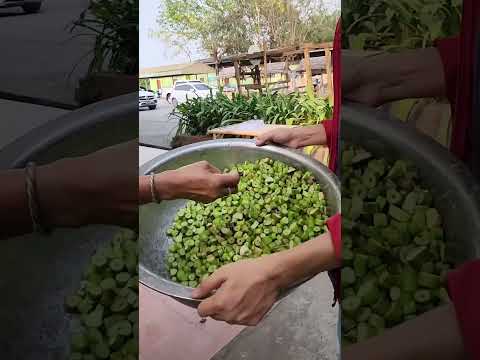 สร้างรายได้งาม ทึ่ง ใบผักตบเอาไปทำแบบนี้ได้ | เอิร์ธสดชื่น สร้างอาชีพ - อยุธยา