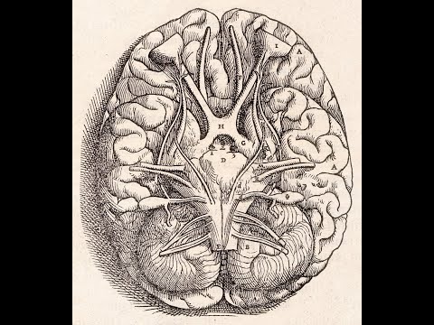 The Singular Exemplar Bias - Death by Suicidal Empathy (THE SAAD TRUTH_ 1865)