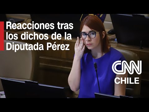 Distintas críticas hacia Catalina Pérez y su posible participación en caso Democracia Viva