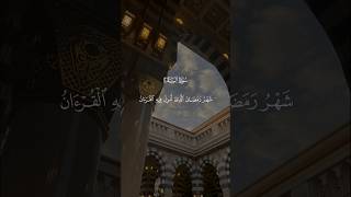 سورة البقرة ياسر الدوسري #القرآن #المصحف #القرآن_الكريم