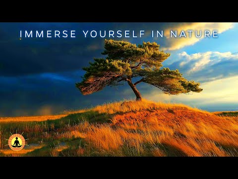 &#128308; Beautiful &amp; Relaxing Music Playlist by Yellow Brick Cinema: 24 Hours of Healing Sleep Meditation