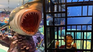 TYREX MASUK TRANS STUDIO BANDUNG !!