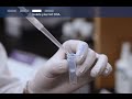 Molecular Grade Plasmid Isolation Steps