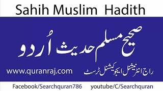 sahih muslim hadith 6599