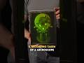 Illusions and Perception in Microscopy