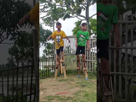 Dongo jatoh dari jangkungan