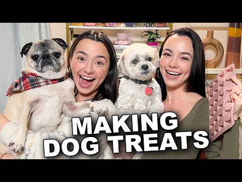 MAKING DOG TREATS - Merrell Twins Live