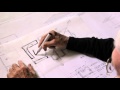 Architectural Design Principles and Spaces