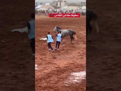 سقوط مفاجئ للفارس 😱 يا ربي السلامة  #خيل #تبوريدة #horsehorsehorse #اكسبلور #moroccanculture