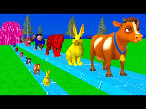 Long Slide Game With Elephant Gorilla Buffalo Hippopotamus Tiger 3d Animal Game Funny 3d Animals