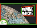 Solar Energy and Medicine Storage