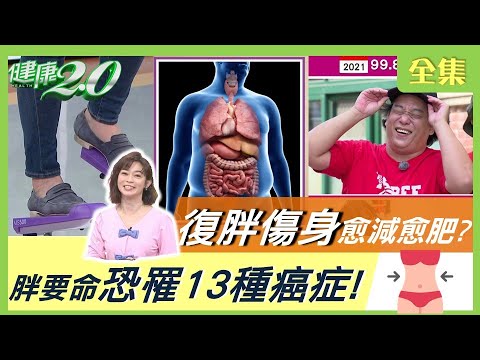 阿龐罹淋巴癌暴肥！愈減愈肥 復胖傷身 恐罹13種 癌症 ！韓3大女星不復胖維持體力的飲食秘密！ 健康2.0 20211106 (完整版)