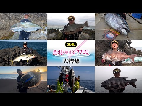 【魚に見えないピンクフロロ】デカい魚を集めてみました!!(1568)