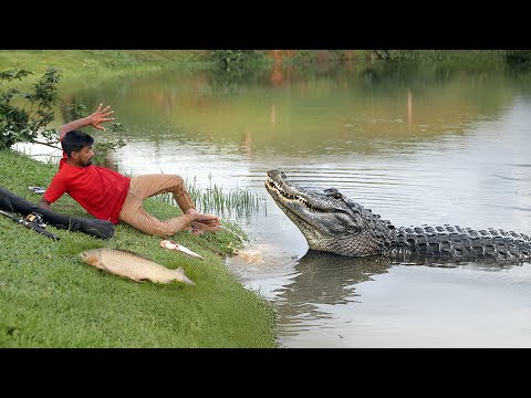 Crocodile Attacks Man While Fishing | Based on Jungle Fiction