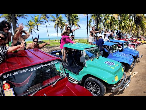 ✈Pernambuco Vlog2: Passeio de bug; Praia do Cupe e coqueiral | Viajando com TatiCelo 2025
