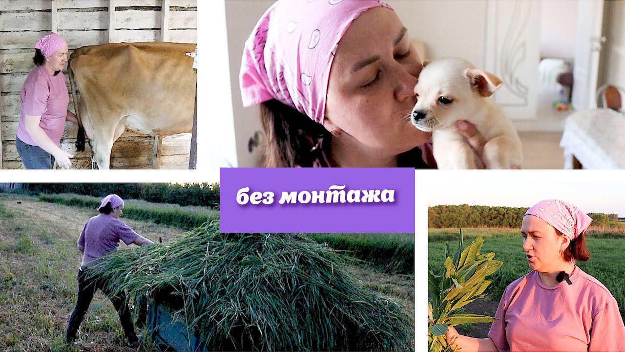 Отдых мамы 10 детей супер мотивация на продуктивную работу!