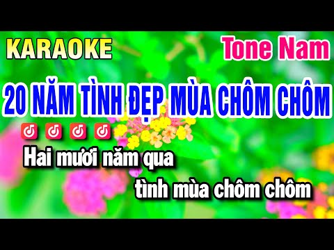 Karaoke 20 Năm Tình Đẹp Mùa Chôm Chôm Nhạc Sống Tone Nam