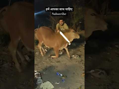 #krishna #harekrishna #shriji #cow #help #harharmahadev