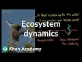 Clark's Nutcracker and Ecosystem Dynamics